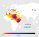Y-DNA Haplogroup E (Source: 23andMe)