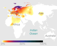 mtDNA Haplogroup U (Source: 23andMe)
